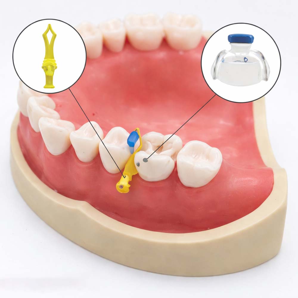 General Dental Products