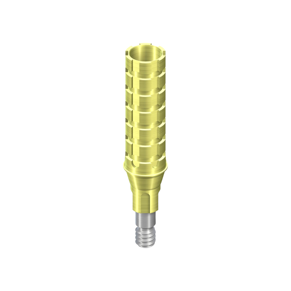 Str.Temporary Abutment