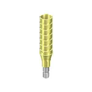 Str.Temporary Abutment