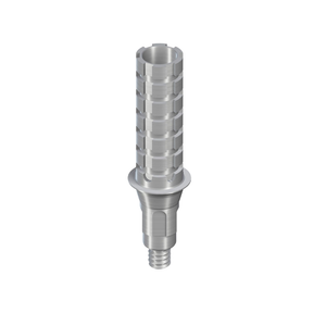 Str.Temporary Abutment