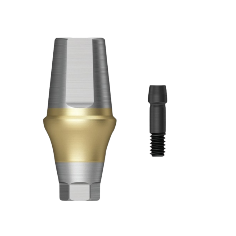 Den.Dual Abutment